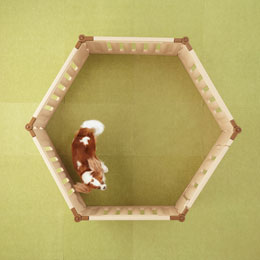 サークルホテル